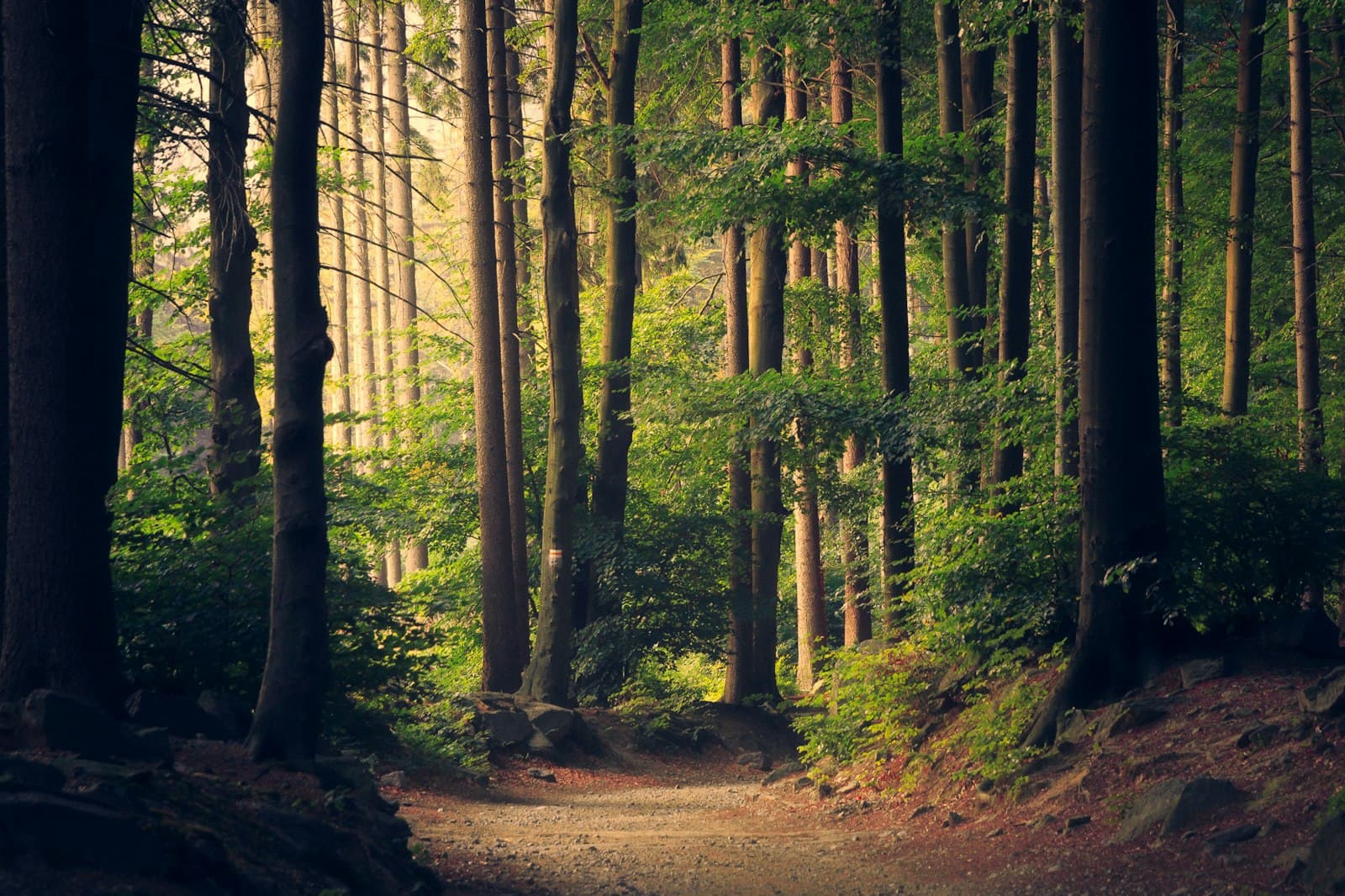Nature et vitalité