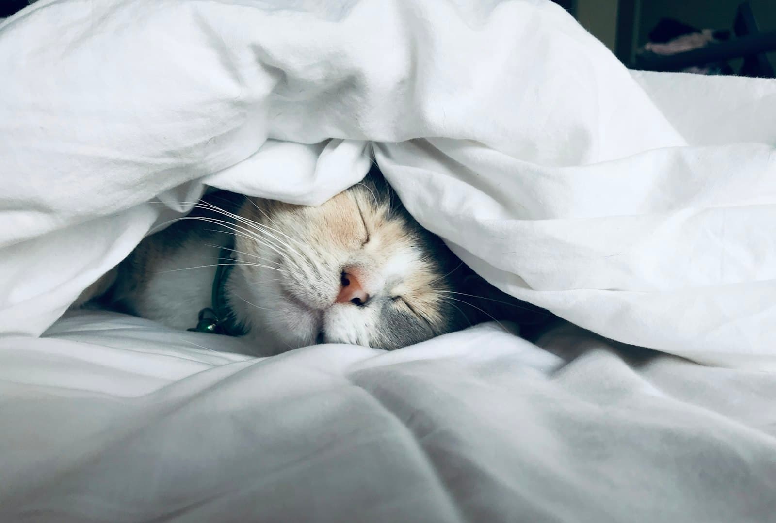 Sommeil profond et récupération